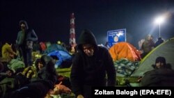 Migranti proveli noć na srpsko-mađarskoj granici