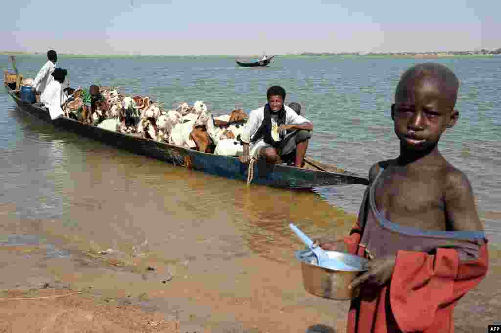 &nbsp;Foto n&euml; brigjet e lumit Niger, Timbuktu, Mali, ku po vazhdon lufta nd&euml;rmjet forcave franceze dhe militant&euml;ve islamik&euml;.&nbsp;