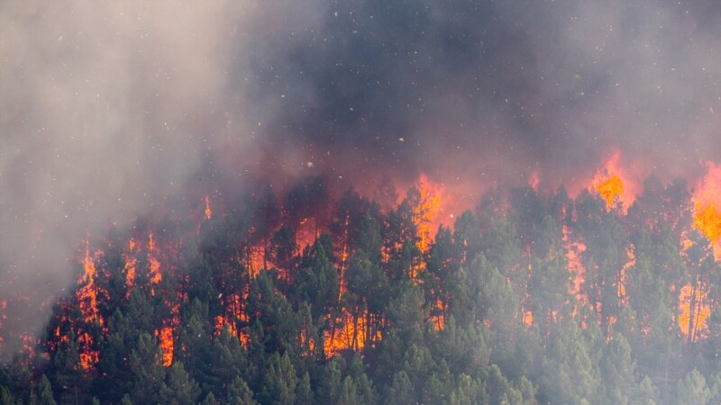 Големи шумски пожари во Грција