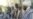 Are Taliban On Fast Track Off UN Blacklist?