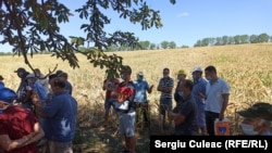 Protestul agricultorilor, care cer mai mult sprijin de la guvern pentru a trece de criza provocată de secetă, Lăpușna, raionul Hincesti, 11 augut 2020 .