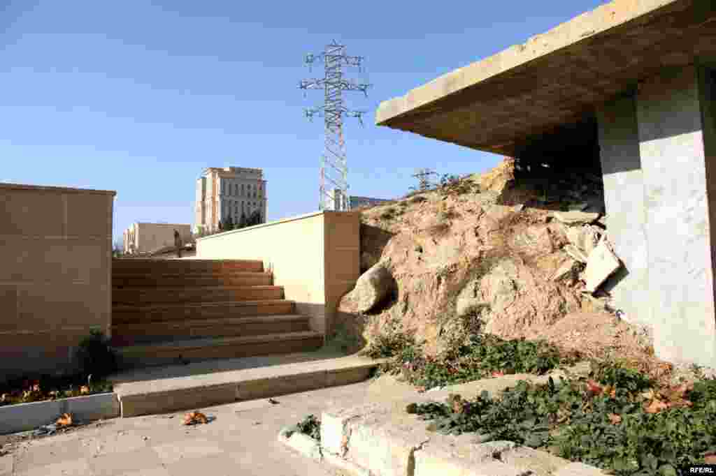 1 yaşlı qoca park #15