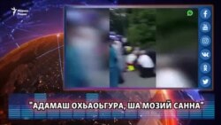 Нохчашна ловзаргахь стенах дIовш даьлла, ца кхета цкъачунна Австрера Iедал