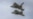 Në këto stërvije u përfshin aeroplanët francezë, Rafale (sikurse fluturaket në këtë fotografi), dhe ata Typhoon të Britanisë. Fotografi ilustruese nga arkivi. 
