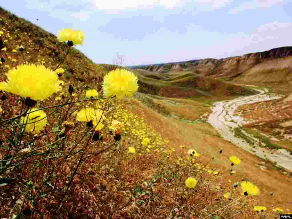 Türkmenistanyň çar tarapyndan #23