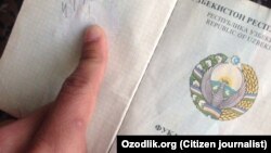 Өзбекстандын паспорту. Иллюстрация