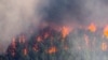 В Австралії оголосили надзвичайний стан через лісові пожежі