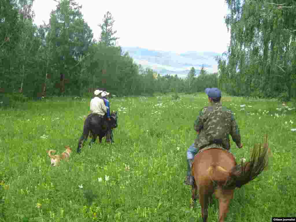 Лучший друг джигита - верный конь. В свое время не было равных казахским наездникам. А сейчас? Многие мечтают о машинах. Прислал Мерей Кайнарулы.