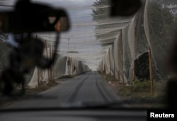 Дорога под сетью для защиты от дронов, Константиновка, Донецкая область Украины, сентябрь 2025 года