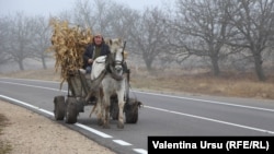 Cimișlia de ieri, Cimișlia de azi. Cimișlia de mâine?