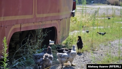 Әкесінің порно суреттері