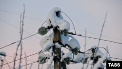 В Краснодарском крае, 2 января 2026 г.