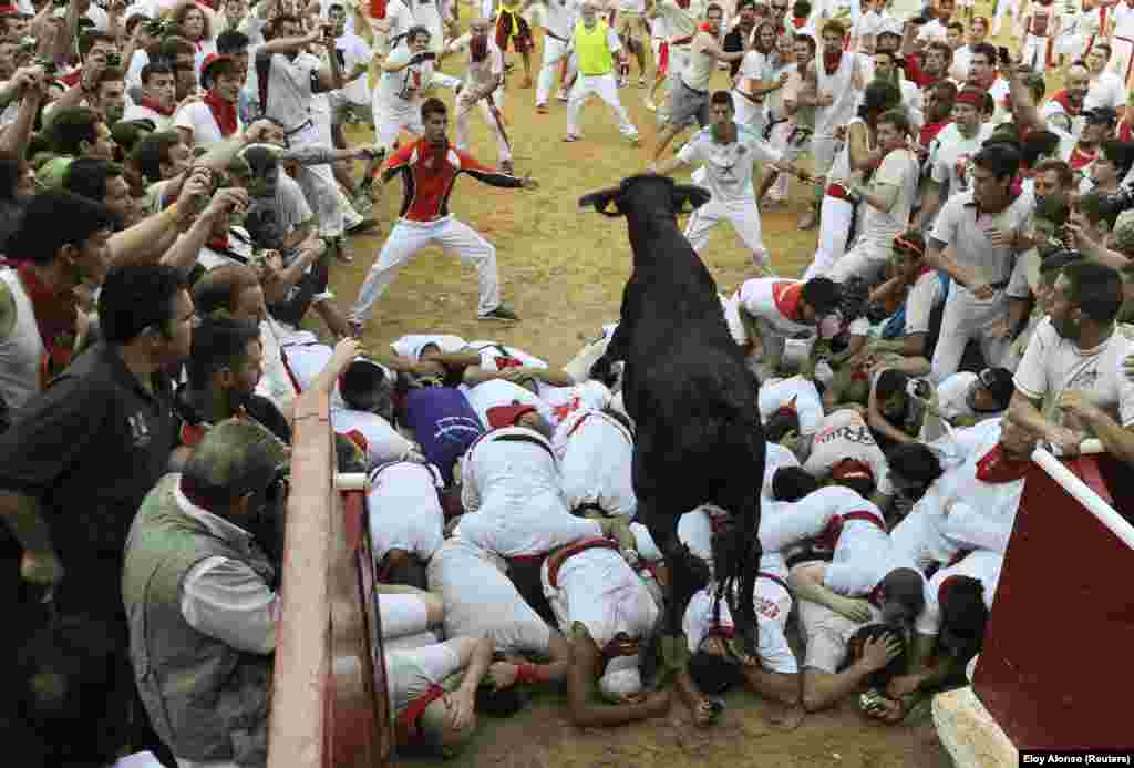 A fighting cow leaps over revelers upon entering the bullring following the second running of the bulls of the San Fermin festival in Pamplona, Spain. (Reuters/Eloy Alonso)