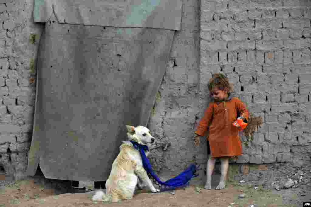 An Afghan child stands next to a dog outside his temporary house on the outskirts of Jalalabad. (AFP/Noorullah Shirzada)