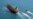 South Korea To Send Delegation To Iran Over Tanker Seizure