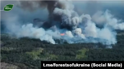 Пажар на памежжы Чарнігаўскай вобласьці, 7 траўня 2026 году