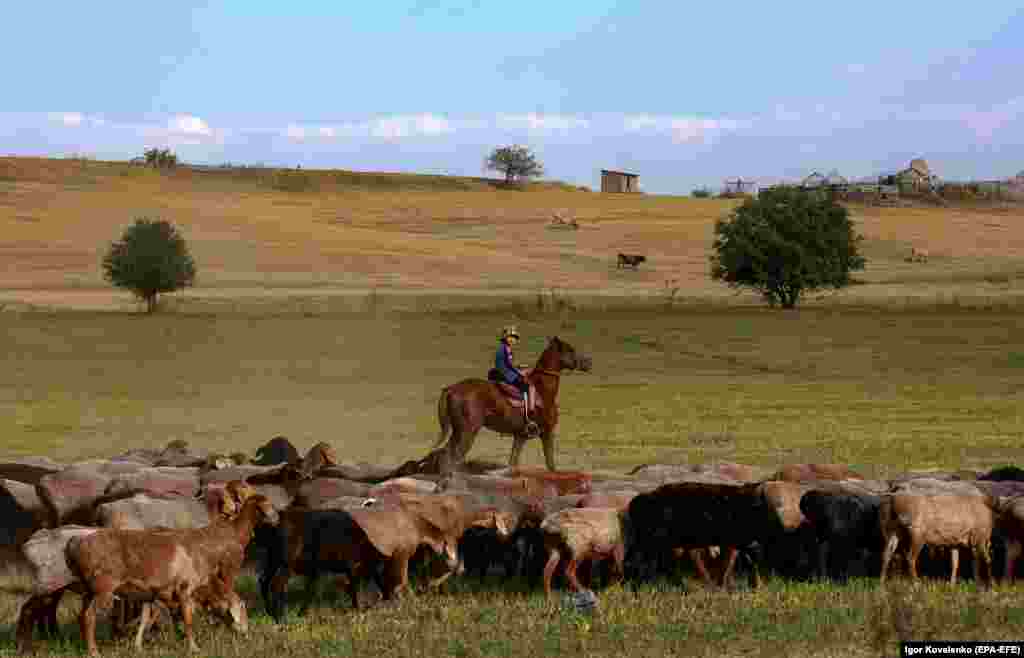 A boy on horseback grazes a flock of sheep in the village of Koy-Tash near Bishkek, Kyrgyzstan.