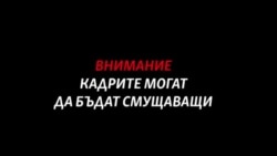 Еленови рога и застрашени растения за пари