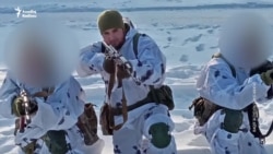 Ukraynada savaşan azərbaycanlılar: 'Bu ölkə mənə sahib çıxdı, onu itirə bilmərəm'