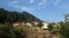 جنگلات کنر