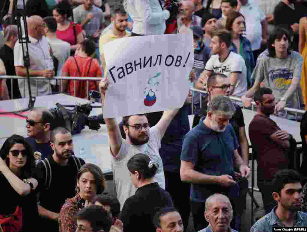 Pancartă cu inscripția „Gavnilov” ce combină numele deputatului rus Serghei Gavrilov și cuvântul „govno” care înseamnă mase fecale. Demonstranții consideră că Gavrilov este un aliat al lui Putin și că sprijină acțiunile Rusiei în regiunile separatiste din Osetia de Sud și Abhazia.