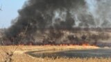 Incendiu de vegetație pe malul lacului Ghidighici, 26 februarie 2025