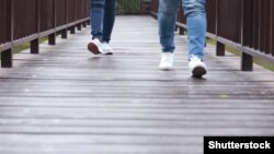 Иллюстратив сурат