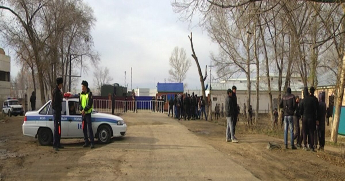 Жыныстық әке қызының пәктігін алады