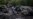 Absent International Investigators, Western Journalists Build Case That Separatists Shot Down MH17