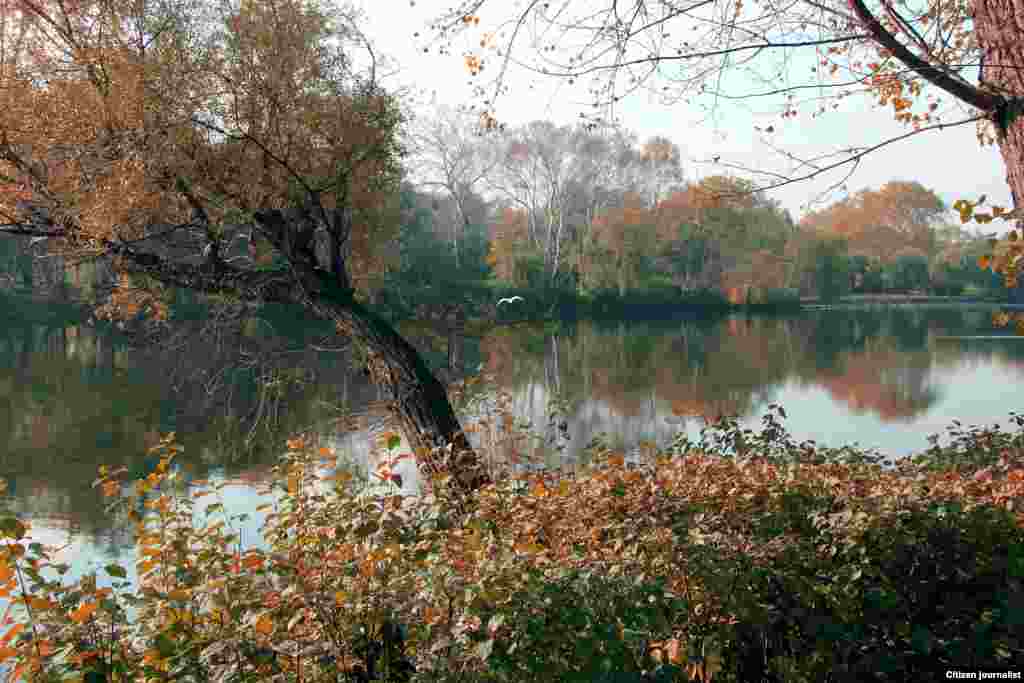 Австри, Вена, Wasserpark. Эрсно Казбекан сурт. 