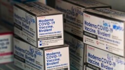 Moderna-vakcinákat tárolnak fagyasztóban egy klinikán 2022. november 17-én Richmondban, az Egyesült Államokban