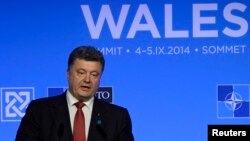 Петро Порошенко на саміті НАТО, фото 4 вересня 2014 року