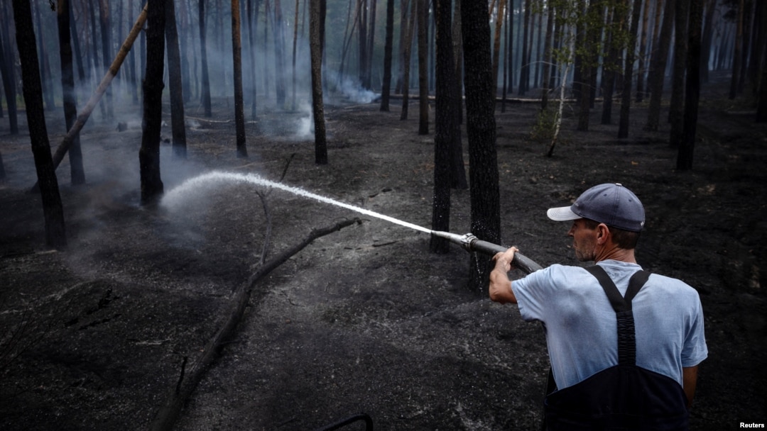Un pompier stinge un incendiu într-o pădure de lângă Yarova, în Parcul Național Național Munții Sfinți, în iulie.