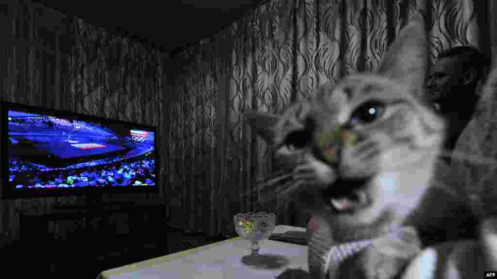 A family with their cat watch a live television broadcast of the Sochi Winter Olympics opening ceremony in the Kyrgyz capital, Bishkek, on February 7. (AFP/Vyacheslav Oseledko)