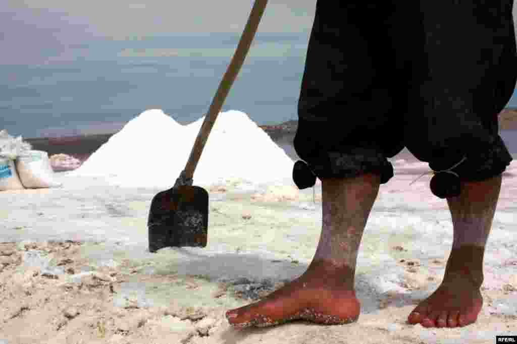 Çörəyi duzdan çıxaranlar #29