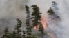 افزایش «۲۰ درصدی» آتش‌سوزی در مراتع و جنگل‌های ايران