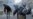 Prominent Iranian Activists Held