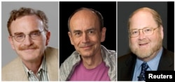 2013 елда медицина өлкәсендә Нобель бүләген алучы галимнәр: Рэнди Шекман, Томас Зюдһоф һәм Джэймс Ротман