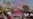 Explainer: Pakistan's Parliamentary Elections