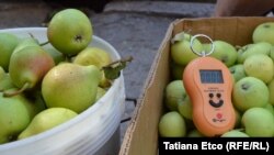 Producătorii de fructe ar printre cele mai afectate