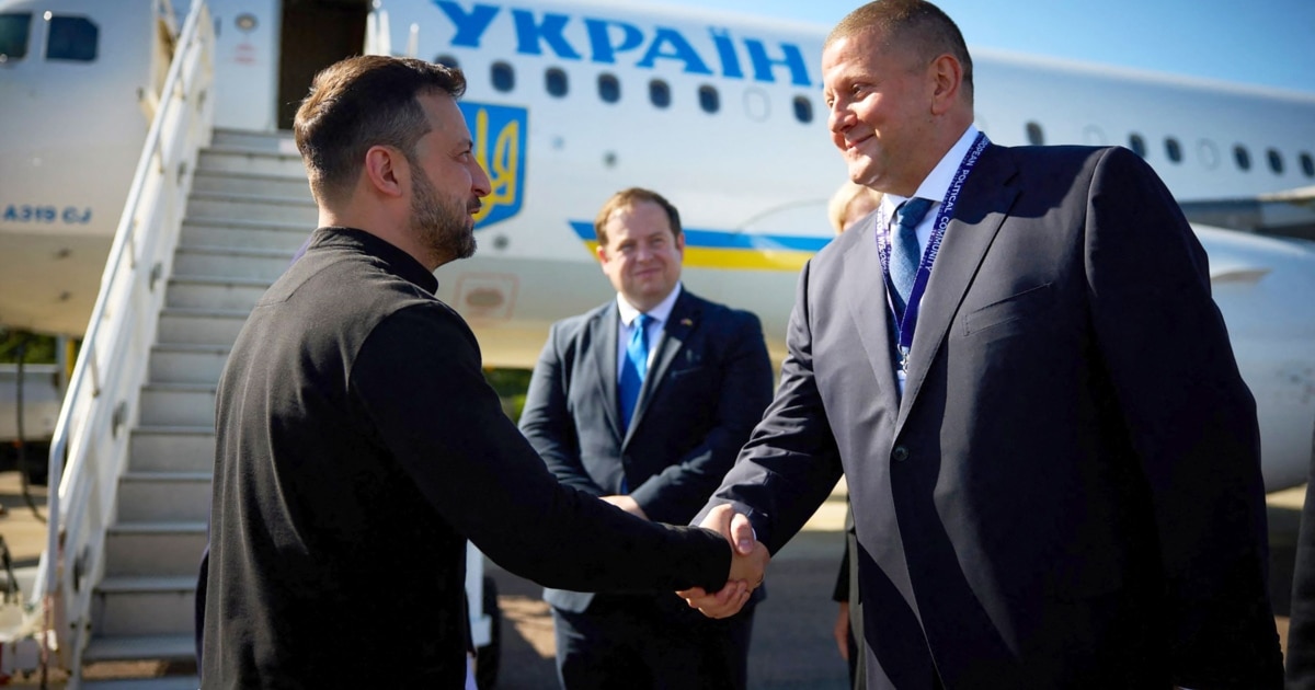 Зеленський відповів, чи планує звільняти Залужного після його критики