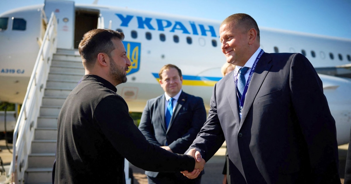 Залужний проти виборів під час війни та спростував чутки про партії