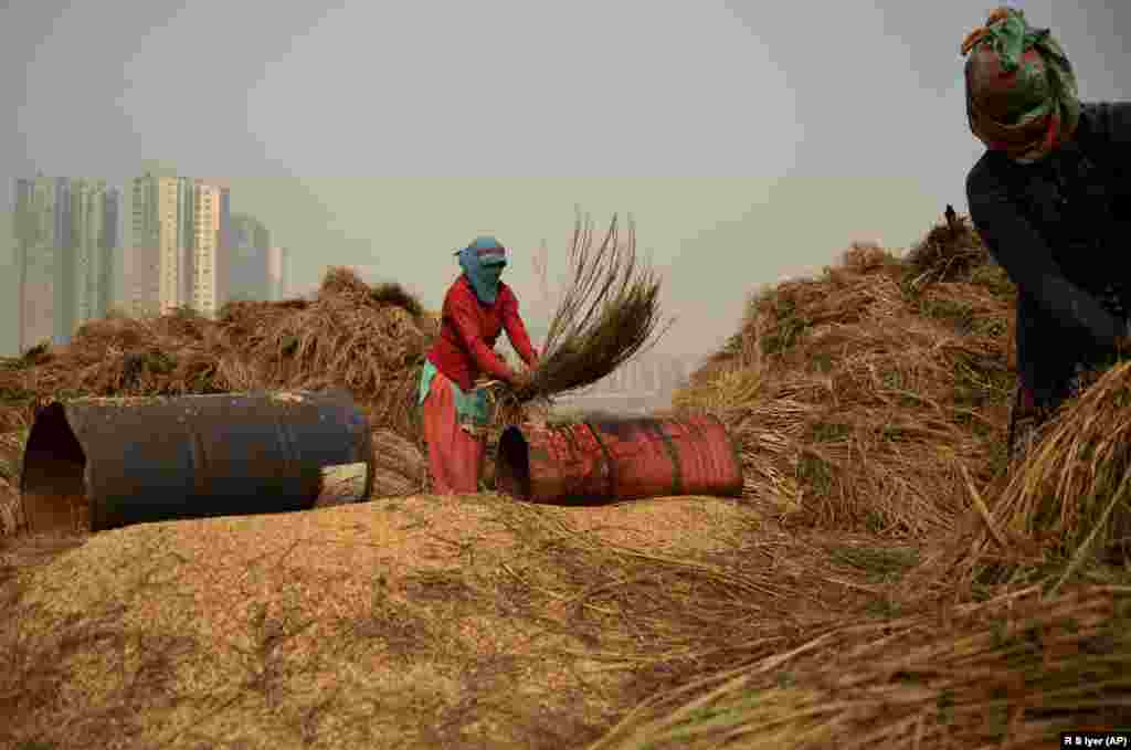 An under-construction high-rise residential building is seen behind as farm workers thrash freshly harvested paddy crop to separate the grains in Greater Noida, India. (AP/R.S. Iyer)