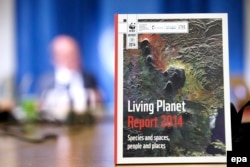 Доклад ВФДО о пока живой планете