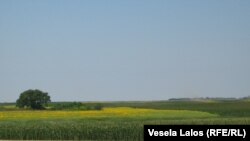 Ilustrativna fotografija
