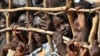 رهبر شورشیان دارفور خواستار برقراری منطقه پرواز ممنوع شد