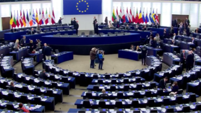 Европарламент: Молдова олигархтардын барымтасында калды 