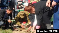 Горожане высаживают цветы на "Празднике тюльпана". Шымкент, 12 марта 2016 года.
