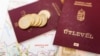 Без России не обошлось. Паспортный скандал в Закарпатье