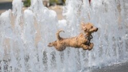 Budimpešta augusta 2020.